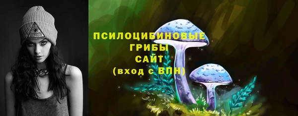 спиды Лабытнанги
