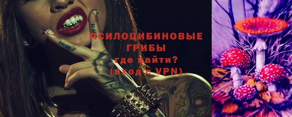 спиды Лабытнанги