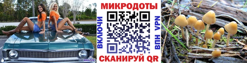 Псилоцибиновые грибы мицелий Каспийск